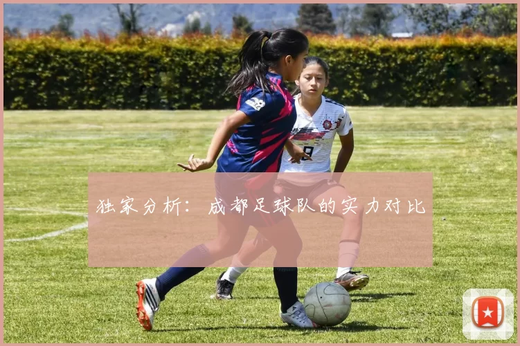 独家分析：成都足球队的实力对比