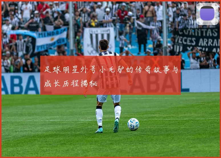 足球明星外号小毛驴的传奇故事与成长历程揭秘