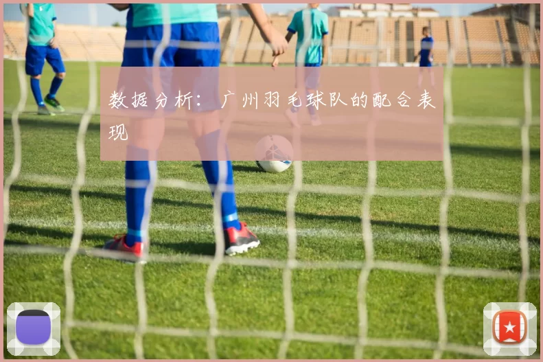 数据分析：广州羽毛球队的配合表现