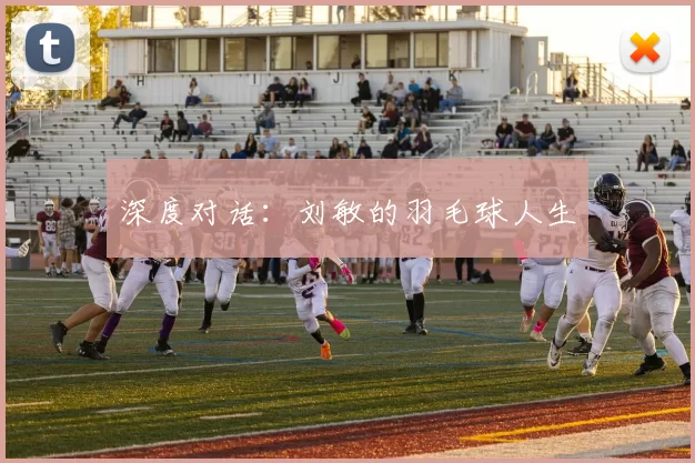 深度对话：刘敏的羽毛球人生