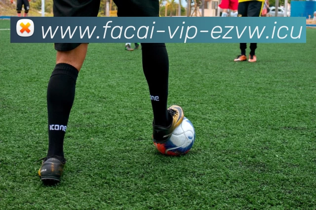 开云体育发展历程